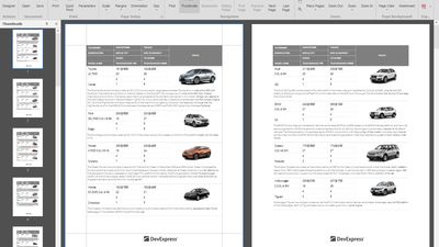 WinForms Report Viewer