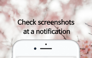 SShot: Screenshot toolkit screenshot 1