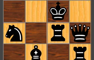 4x4 Solitaire Mini Chess Games screenshot 1