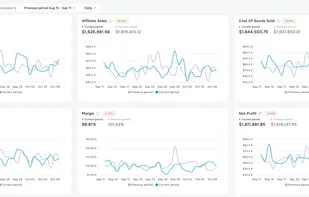 Performance analytics with daily, weekly, and monthly ROI tracking, sales trends, and ad efficiency metrics