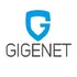 GigeNet icon