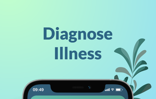 Plantility Plant Identifier screenshot 1