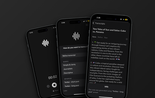 Audio Writer screenshot 1