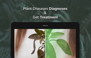 Plant Doctor : Disease Diagnosis screenshot 2