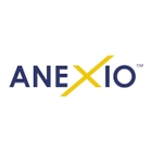 Business IT Solutions - ANEXIO icon