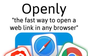 Openly in a Link screenshot 2