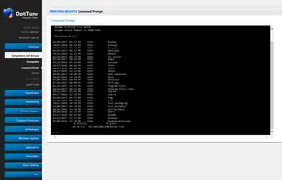 Using the web browser based Remote Command Prompt