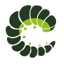 Oruga icon
