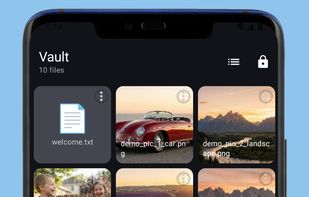 Nice gallery view with thumbnails