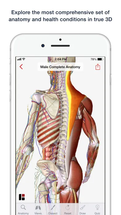 HUMAN ANATOMY AND DISEASE IN INTERACTIVE 3D visual data 7