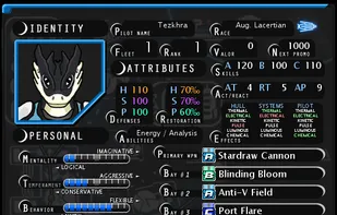 Character status screen