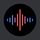 Voice Recorder Pro icon