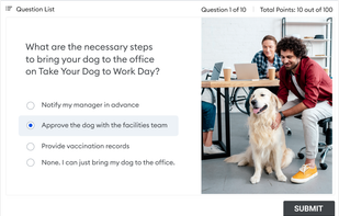 Presentations and quizzes on mobile devices