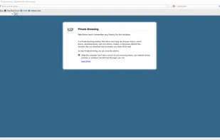 Pale Moon screenshot 1