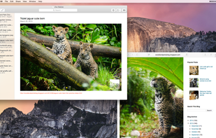 Timeline 3D screenshot 1