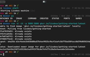 Licobox screenshot 1
