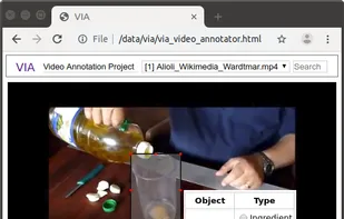 VGG Image Annotator (VIA) screenshot 1