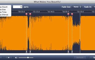 Apple Mac Soft MP3 Splitter for Mac screenshot 1