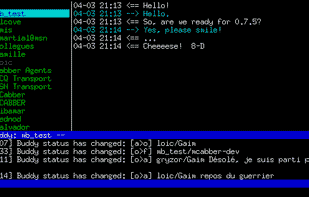 MCabber screenshot 1