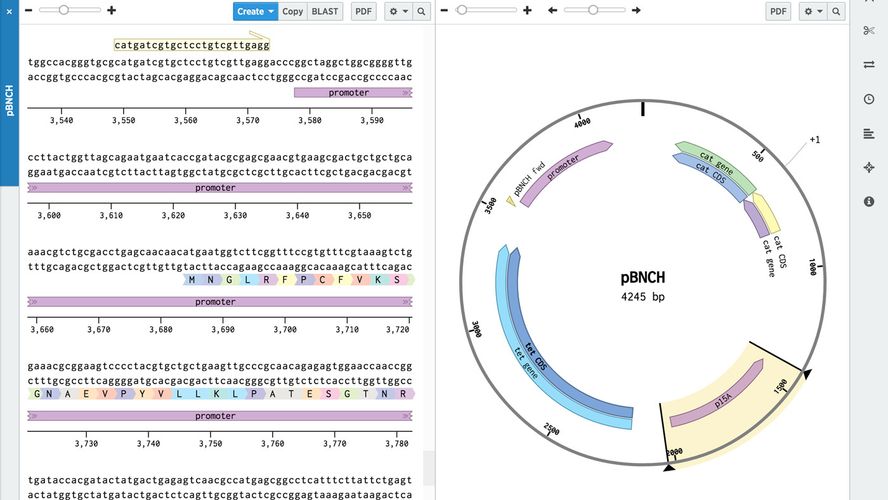 Benchling Online lab notebook software, including DNA design tools