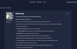 Detail page of a Discord Server
