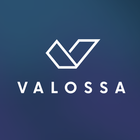 Valossa Assistant