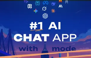 Villson screenshot 1