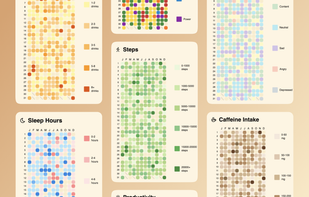Easily monitor multiple habits with colorful visualizations to stay on top of your goals.