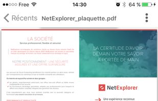 NetExplorer screenshot 1