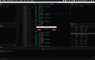 Dwarf Debugger screenshot 1