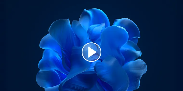 Windows 11 Insider builds add video wallpaper feature for animated desktops image