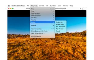 playback controls