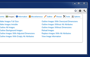 Web Developer screenshot 1