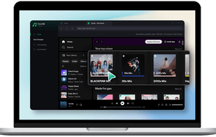MusicFab Spotify Converter screenshot 2