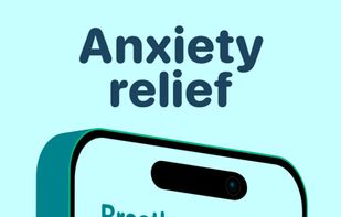 Mindllama screenshot 1