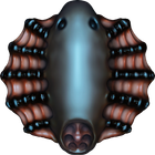 Sipho icon