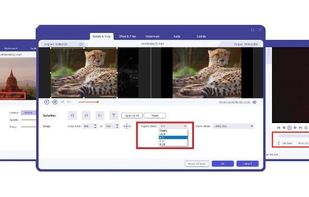 Aiseesoft Video Converter Ultimate screenshot 1