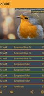 whoBIRD screenshot 3