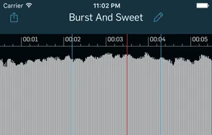 WireTap Riff Recorder screenshot 2