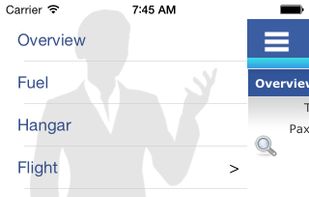 Airline Manager screenshot 2