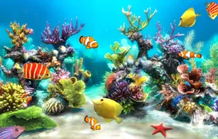 Sim Aquarium screenshot 1