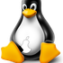 Spez Linux icon