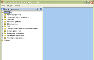 Millennium Business Suite Anywhere screenshot 1