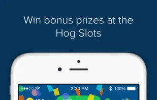 Receipt Hog screenshot 2