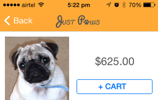 Catalog sync between iOS app and Magento
