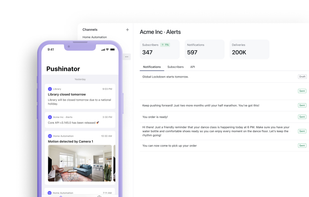 Pushinator screenshot 1