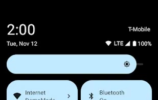 Private DNS Quick Setting screenshot 3