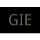 GIE icon