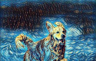 Style screenshot 1