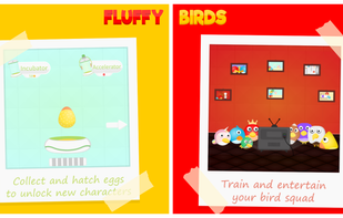 Fluffy Birds : Pet Life screenshot 2